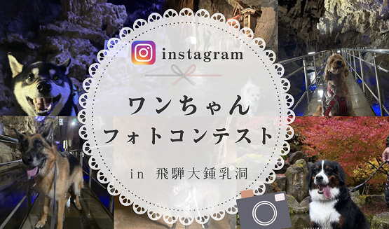 ワンちゃんフォトコンテスト in 飛騨大鍾乳洞