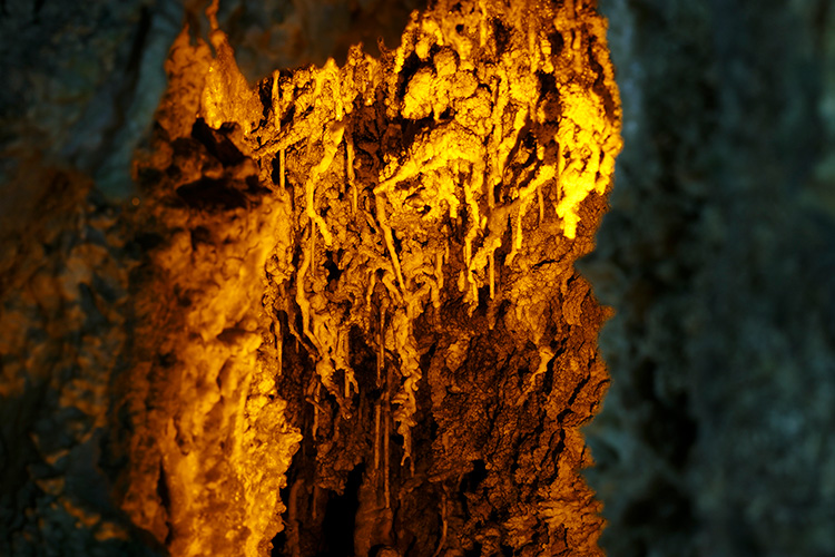 飛驒大钟乳洞 希有價值的冰柱石「流石花」